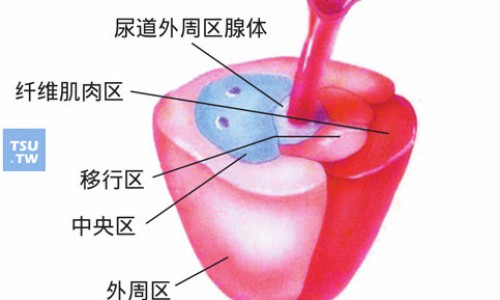 复方石韦胶囊有副作用吗能吃吗-【复方石韦胶囊副作用与禁忌】复方石韦胶囊副作用与禁忌 - 复方石韦胶囊有副作用网